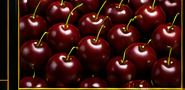 Cerezas frescas
